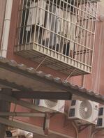 心里痒痒的，可惜处处是监控