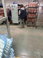 工厂内的骚逼们2