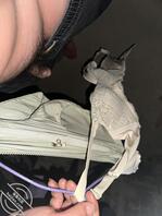 去表嫂家楼上挂了好多内裤，就是酒喝多了硬不起来2
