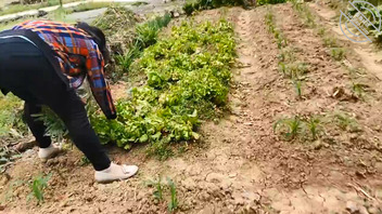 自从看了海角,我对我的农村老妈感觉精虫上脑,好想强奸我妈1