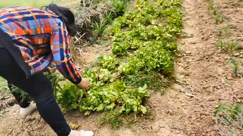 自从看了海角,我对我的农村老妈感觉精虫上脑,好想强奸我妈2