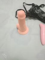 骚姑姑的玩具2