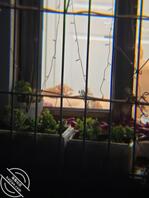 对面楼另一家熟女1