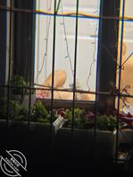 对面楼另一家熟女