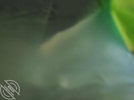 骚逼来吧大屌里的精液榨干0