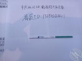 老婆和儿子《十三》老婆怀孕了,解释一下为啥不更,发泄情绪!2