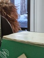 3【原创】妈妈来陪读,日记本上留下想操妈妈的话,不知道妈妈会不会看到2