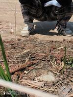 哪位兄弟把你老婆分享出来撸一把2