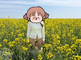 油菜花地露出，没人评论更新没意思0