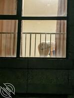 偷拍隔壁人妻脱衣服1