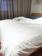 17.（原创）视频开头有验证 妹妹开学了，去妹妹学校附近开房找妹妹艹穴