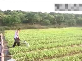 经典乱伦老片&mdash;农民伯伯-早期乱伦经典中的经典