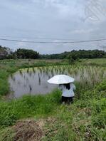 128【海角原创】福利贴求各位海友支招~~2